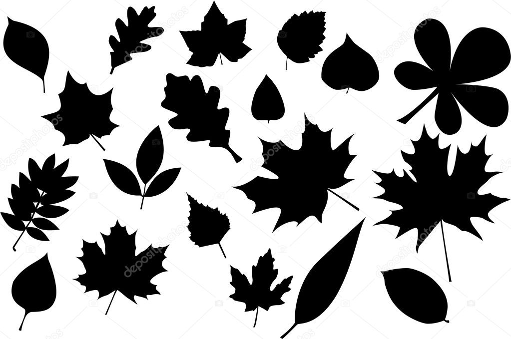 Leaves silhouette — Stock Vector #1413404