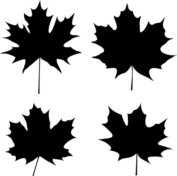 Esdoorn bladeren silhouet — Stockvector