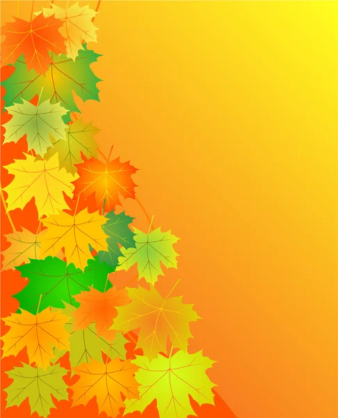 Őszi levelek háttér — Stock Vector