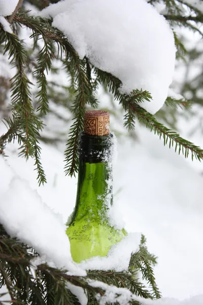 Butelka w śniegu — Zdjęcie stockowe