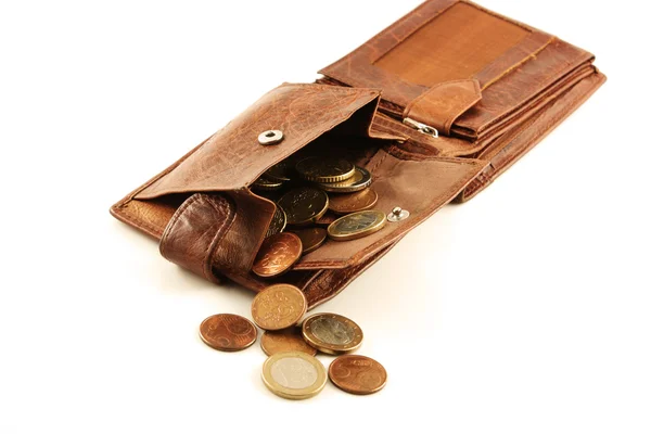 stock image Money in a purse