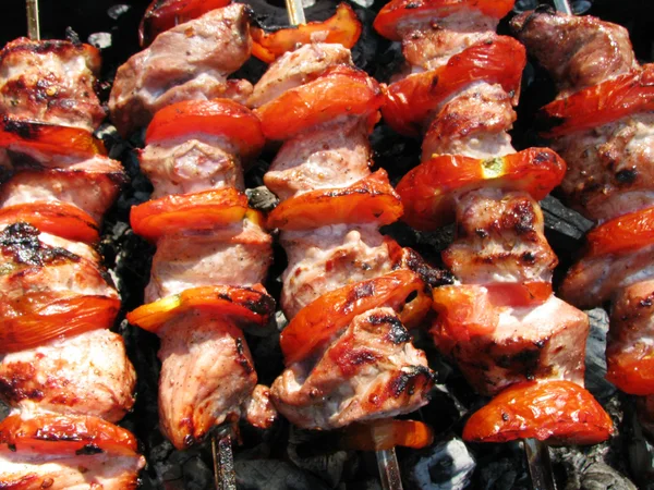 stock image Shish kebab2