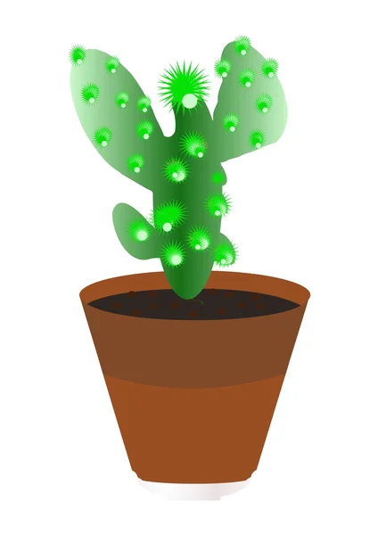 stock vector Plant a cactus