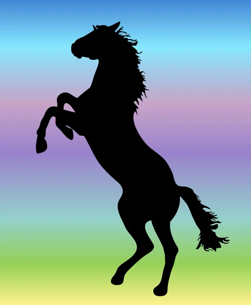 ลักษณะของม้า — ภาพเวกเตอร์สต็อก