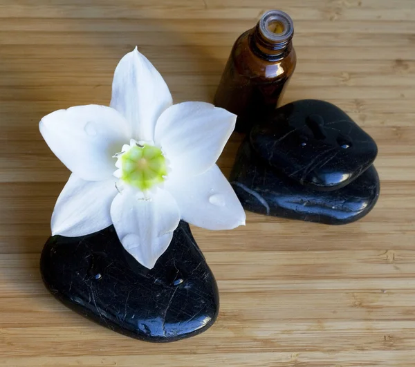 Spa zwarte stenen met witte bloem op wo — Stockfoto