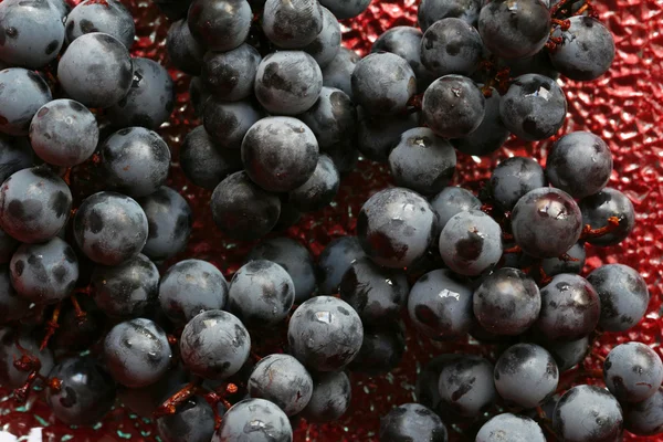 Grappes de raisins bleu isabella sur le glas — Photo