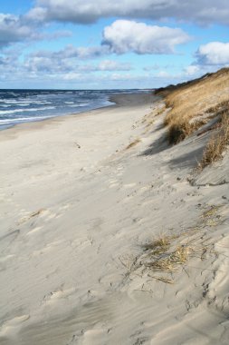 Coast of the Baltic Sea in winter on the clipart
