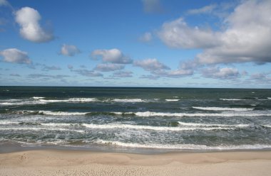 Coast of the Baltic Sea in winter clipart