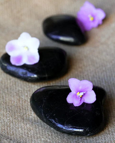 ライラックの花を持つスパ黒い石 — ストック写真