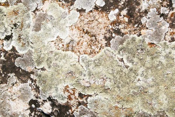 Stone Grunge Textur kann als Backgrou verwendet werden — Stockfoto