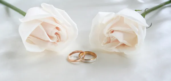 Anéis de casamento e rosas como fundo — Fotografia de Stock