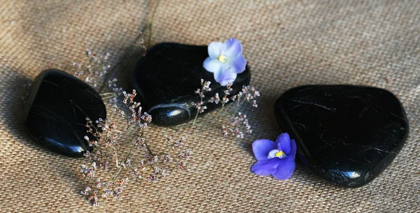 Wellness-Steine mit lila Blüten auf sackclo — Stockfoto
