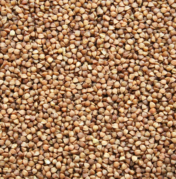 Buckwheat texture as background — Stock Photo, Image