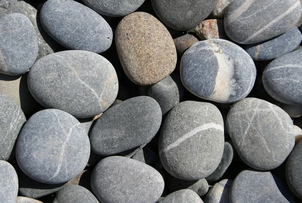 背景としてビーチに灰色の小石 — ストック写真