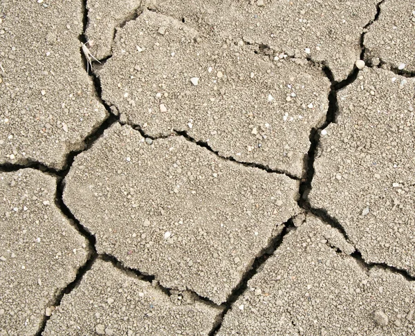 Crack soil texture as ecocatastrophe bac — Stock Photo, Image