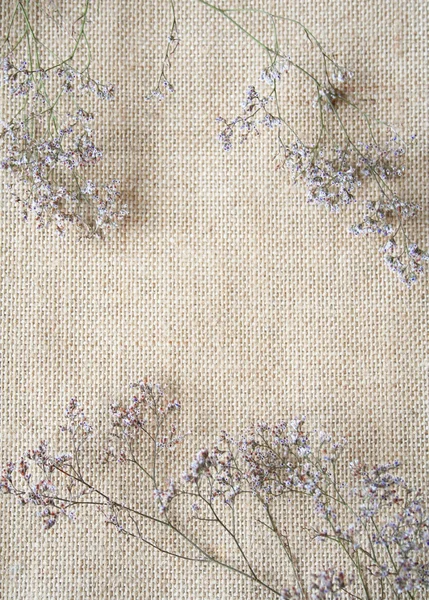 Blumenstrauß aus Wermut auf Sacktuch — Stockfoto