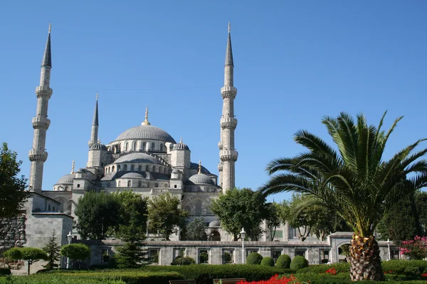 Pavo. Estambul. Mezquita azul — Foto de Stock