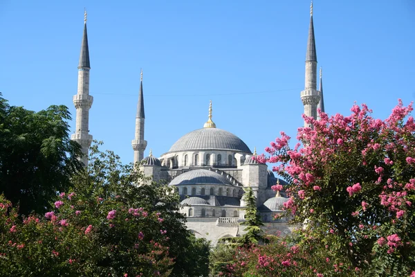 Индейка Стамбул. Голубая мечеть — стоковое фото