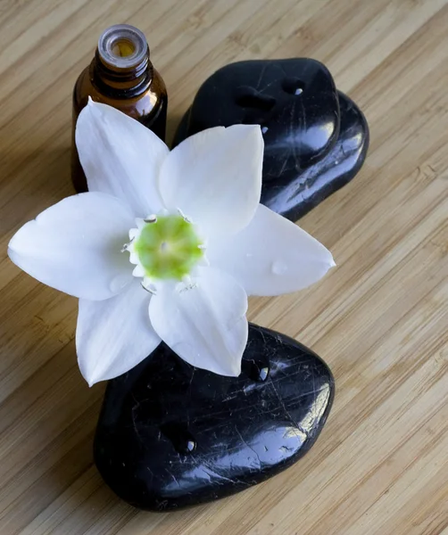 Lázeňské černé kameny s bílým květem — Stock fotografie