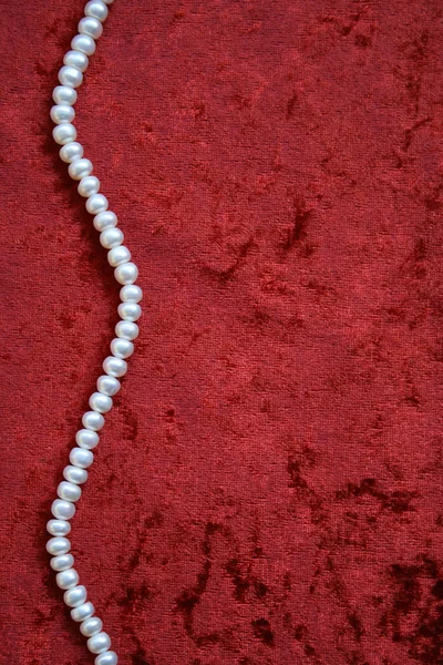 White pearls on a terracotta velvet — Stock Photo, Image
