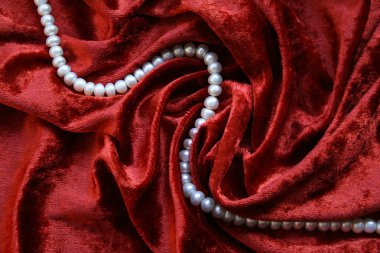 Necklace of white pearls on a velvet clipart