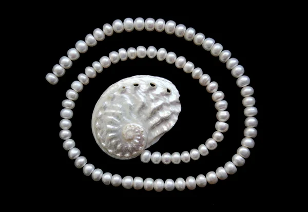 Bílé perly a perleťově cockleshell — Stock fotografie