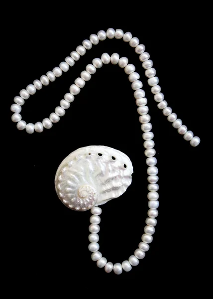 Perles blanches et coques nacrées — Photo