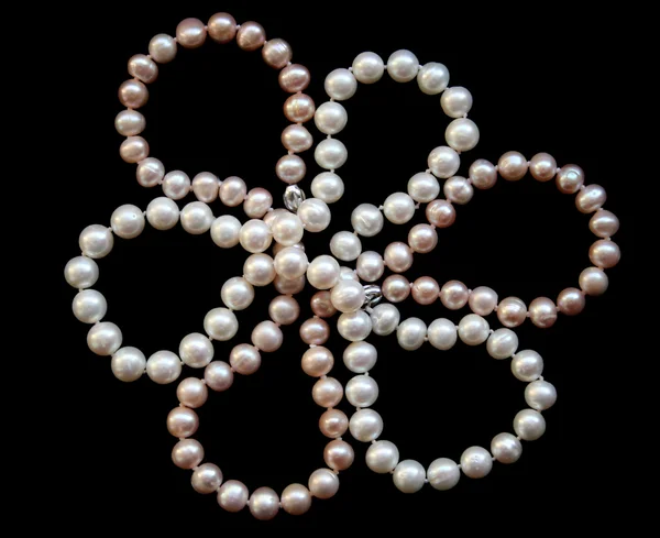 白とピンクの真珠の花 — ストック写真