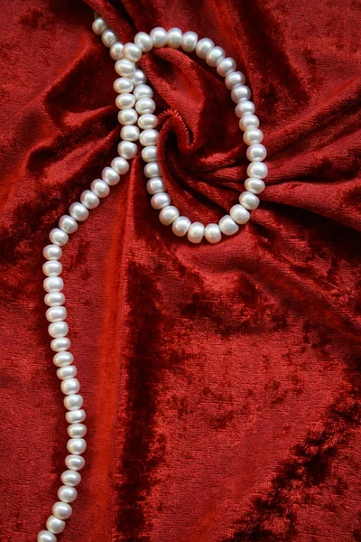 Necklace of white pearls — Stockfoto
