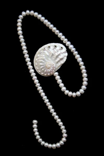 White pearls and nacreous cockleshell — Stock Photo, Image