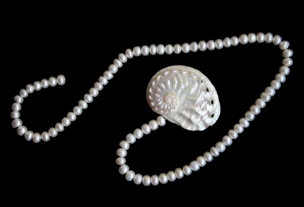 Vita pärlor och nacreous cockleshell — Stockfoto