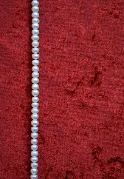 Necklace of white pearls — Stok fotoğraf