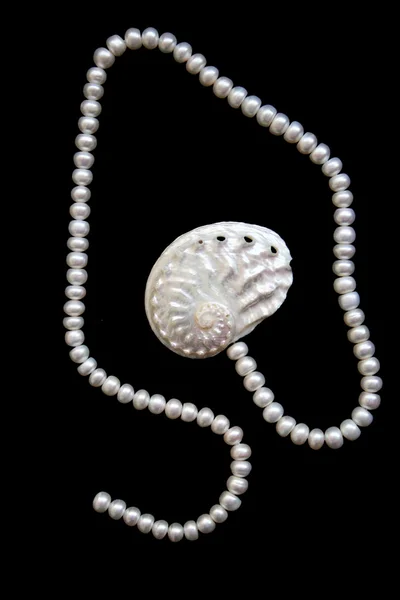 白色珍珠和珍珠 cockleshell — 图库照片