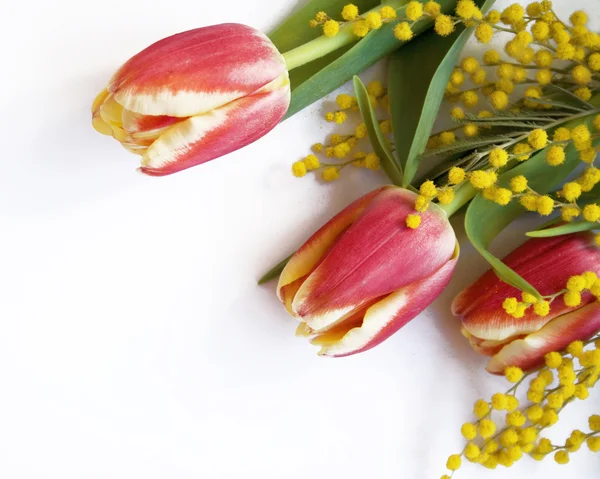 Vermelho com tulipas amarelas e mimosa — Fotografia de Stock