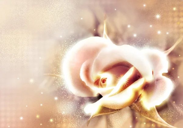 Rose vom Raureif bedeckt — Stockfoto
