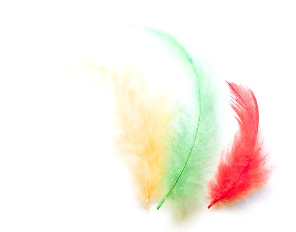 Kolorowe pióra — Zdjęcie stockowe