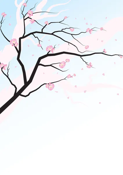 Sakura blommar — Stock vektor