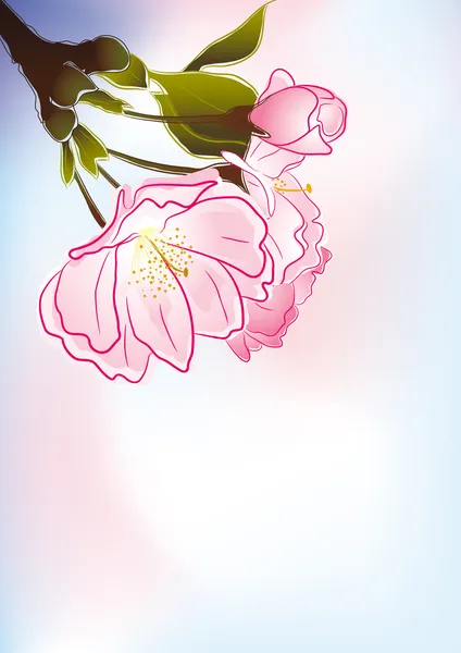 Sakura flower — Stock Vector
