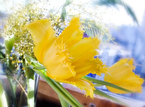 Stylized tulips — Stock Photo, Image