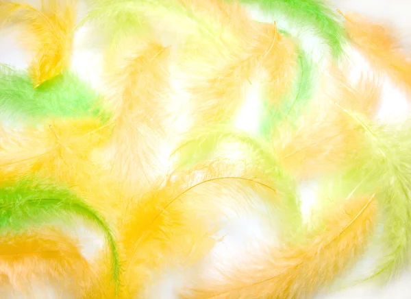 Kolor plumelets — Zdjęcie stockowe