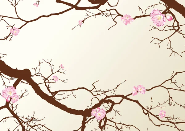 Sakura — Image vectorielle
