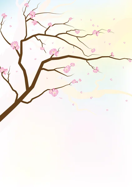 Sakura. — Vetor de Stock
