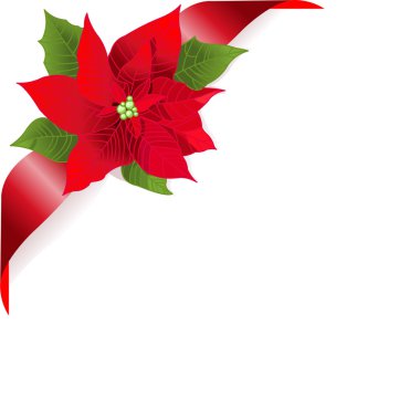 Red poinsettia clipart
