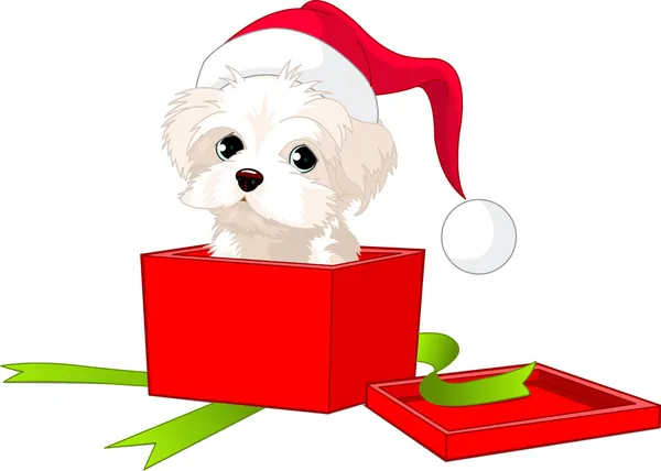 Puppy gift — Stock Vector