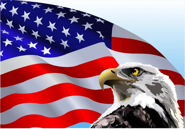 Orel bělohlavý americká vlajka — Stockový vektor