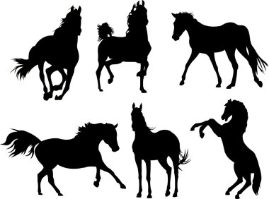 Horse Silhouette Collection clipart