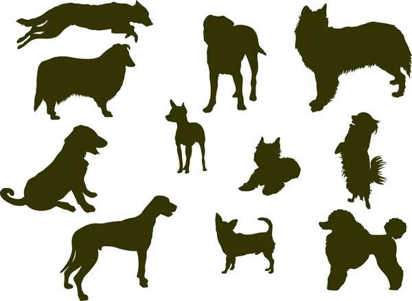 Dog silhouettes — Stock Vector
