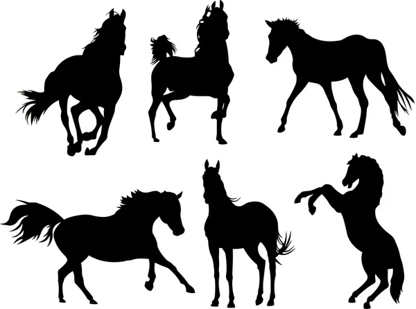 Коллекция силуэтов лошади — стоковый вектор