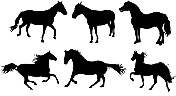 Collection silhouette cheval — Image vectorielle