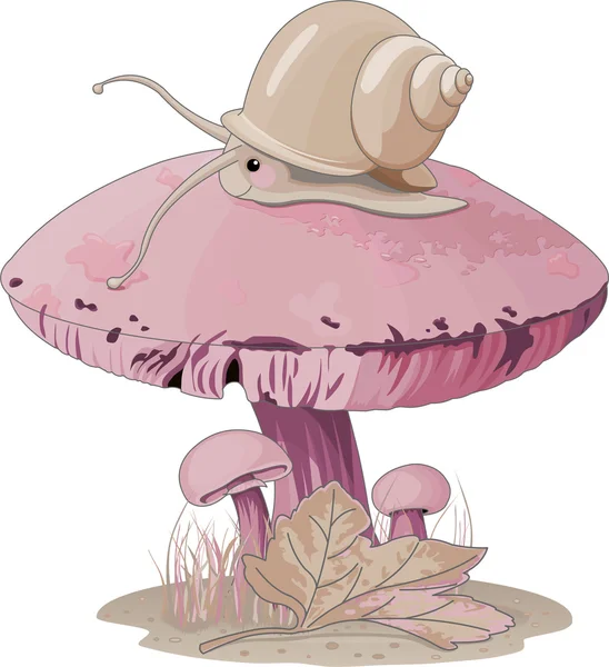 Mushroom snail — Stock Vector